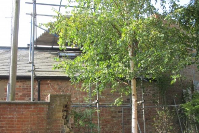 Party Wall Surveyor for Residential Development - Image 2