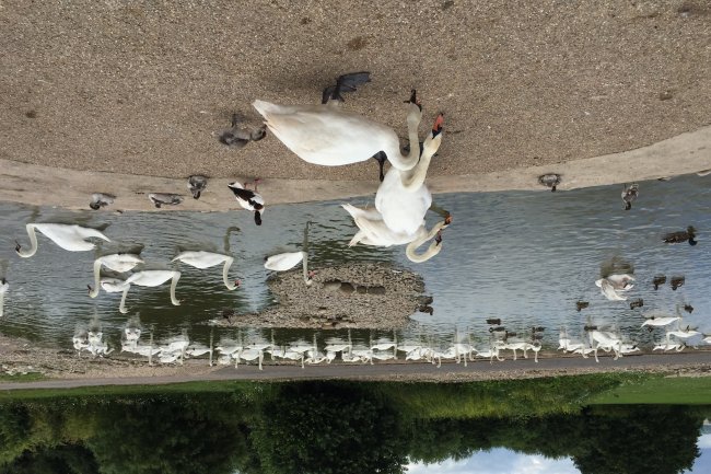 Disabled Access Audit - Slimbridge Wetland Centre - Image 3