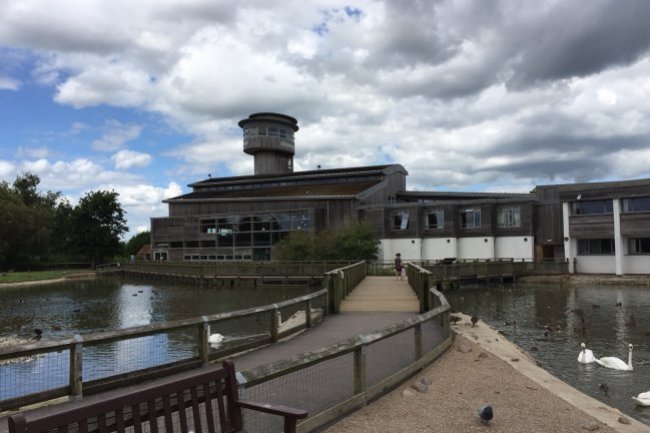 Disabled Access Audit - Slimbridge Wetland Centre - Image 4