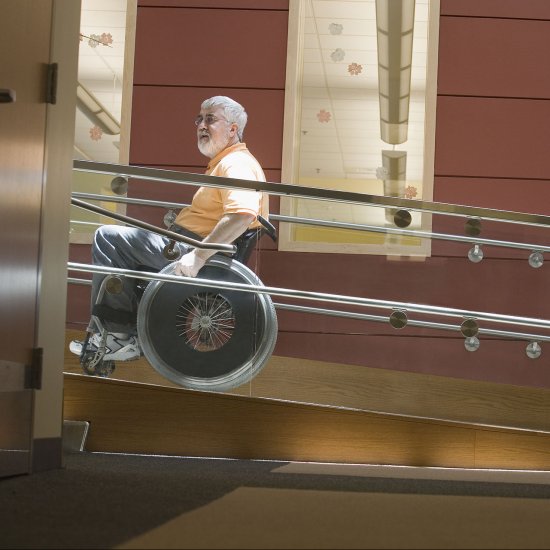 Disabled Access - Harnessing the Power of the Purple Pound