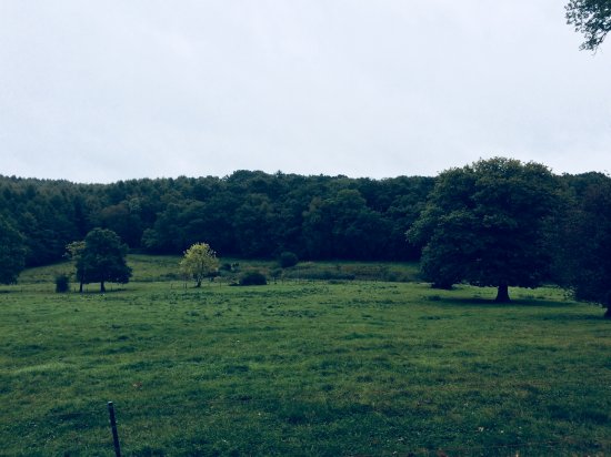 West Berkshire refuse permission for major strategic site West Berkshire refuse permission for major strategic site